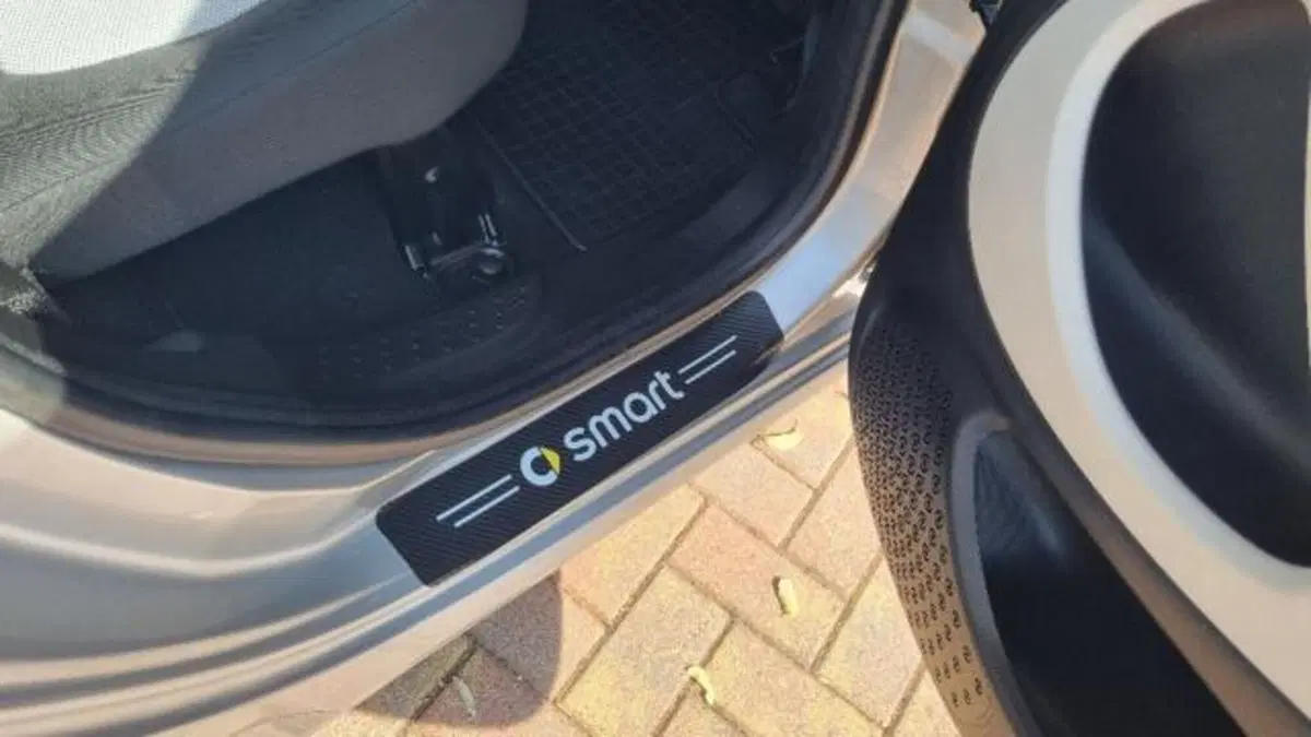 smart forfour usata a Savona (15)