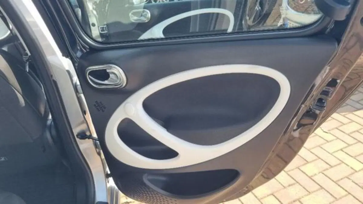 smart forfour usata a Savona (16)