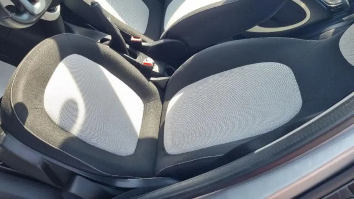 smart forfour usata a Savona (4)
