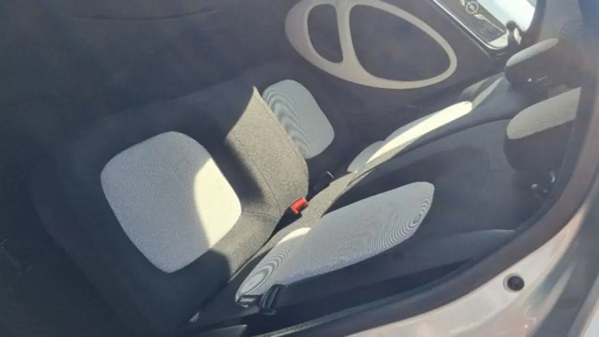 smart forfour usata a Savona (5)