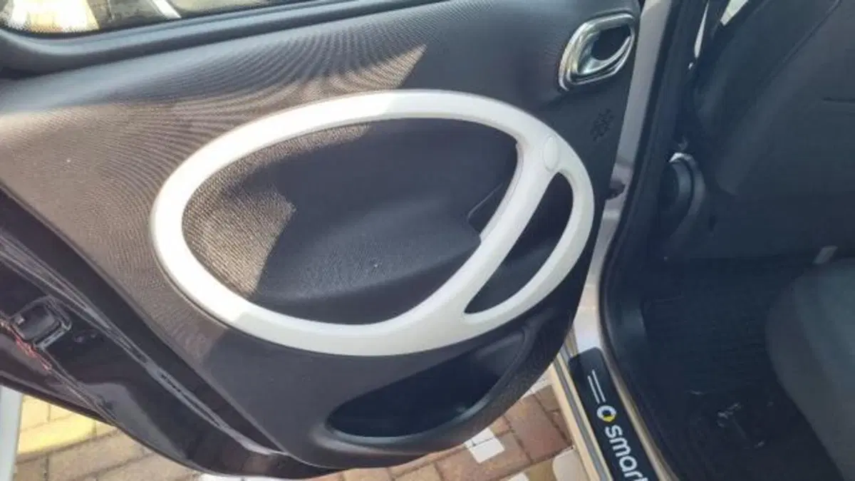 smart forfour usata a Savona (7)