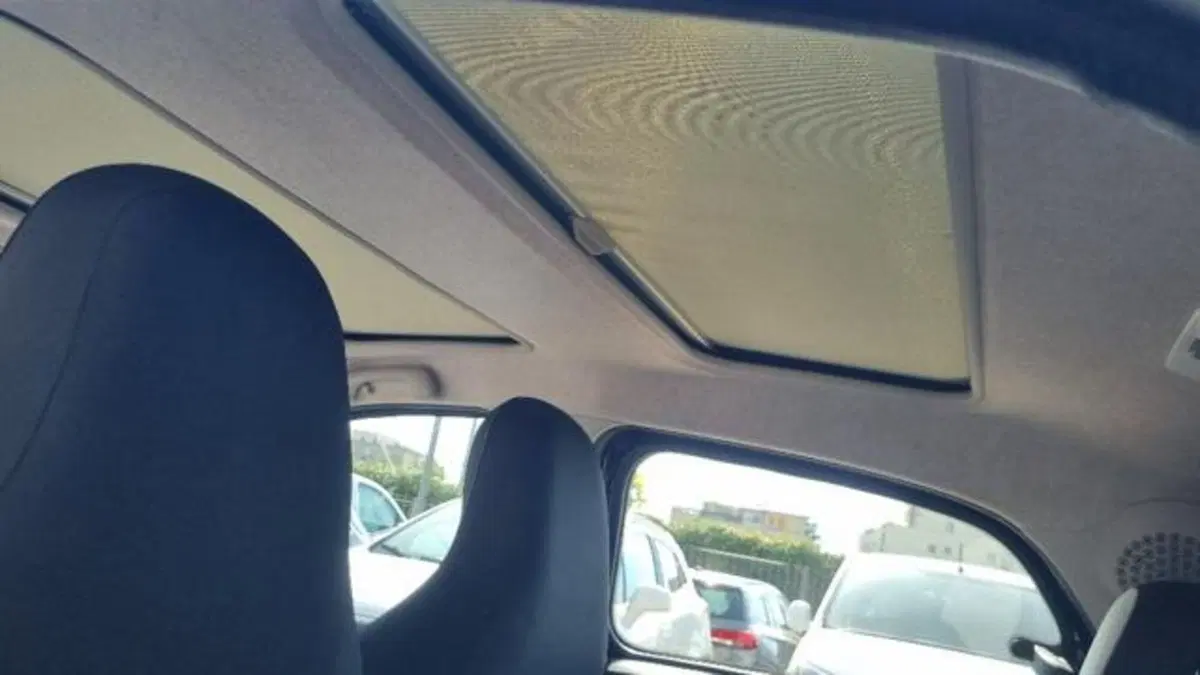 smart forfour usata a Savona (8)