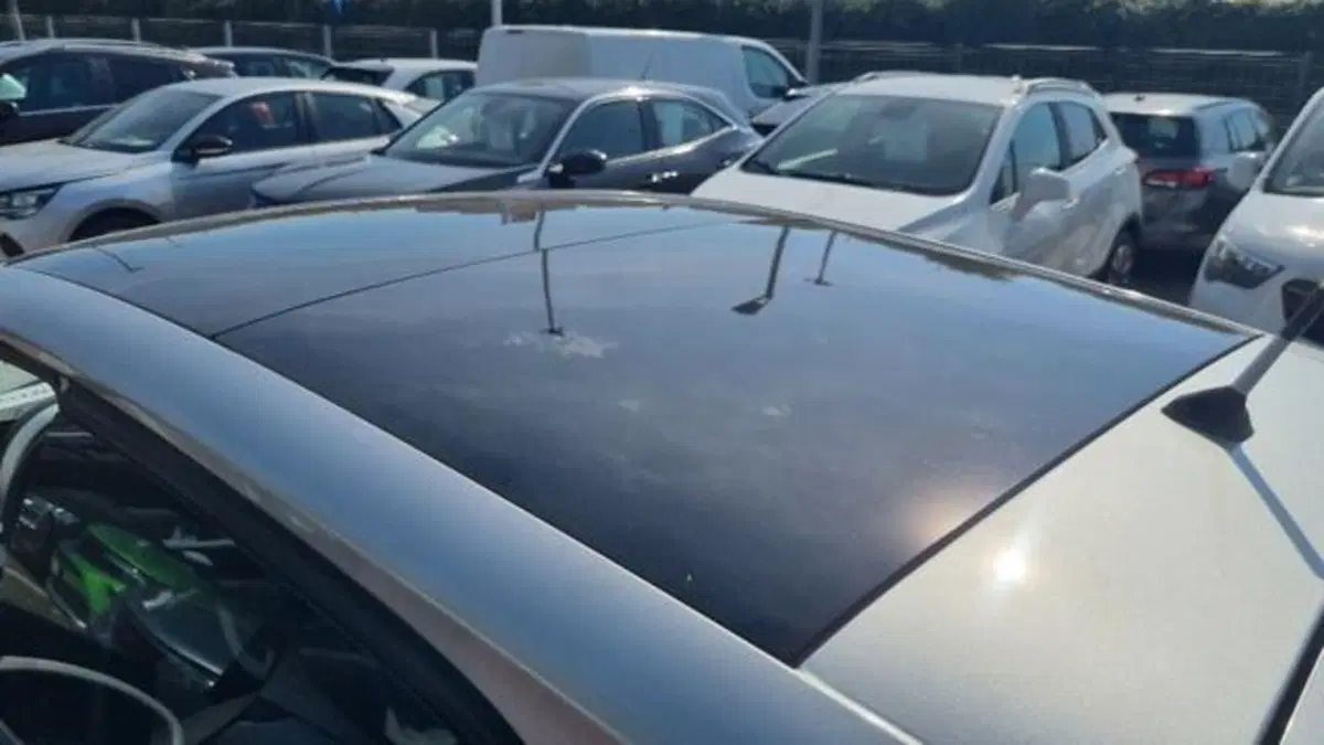 smart forfour usata a Savona (9)