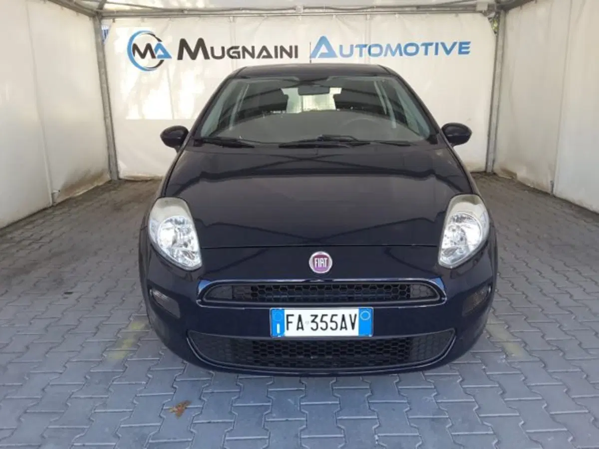 Fiat Punto usata a Firenze