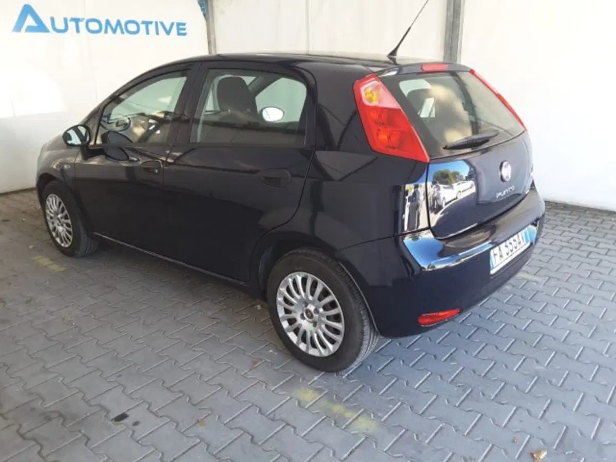 Fiat Punto usata a Firenze (10)