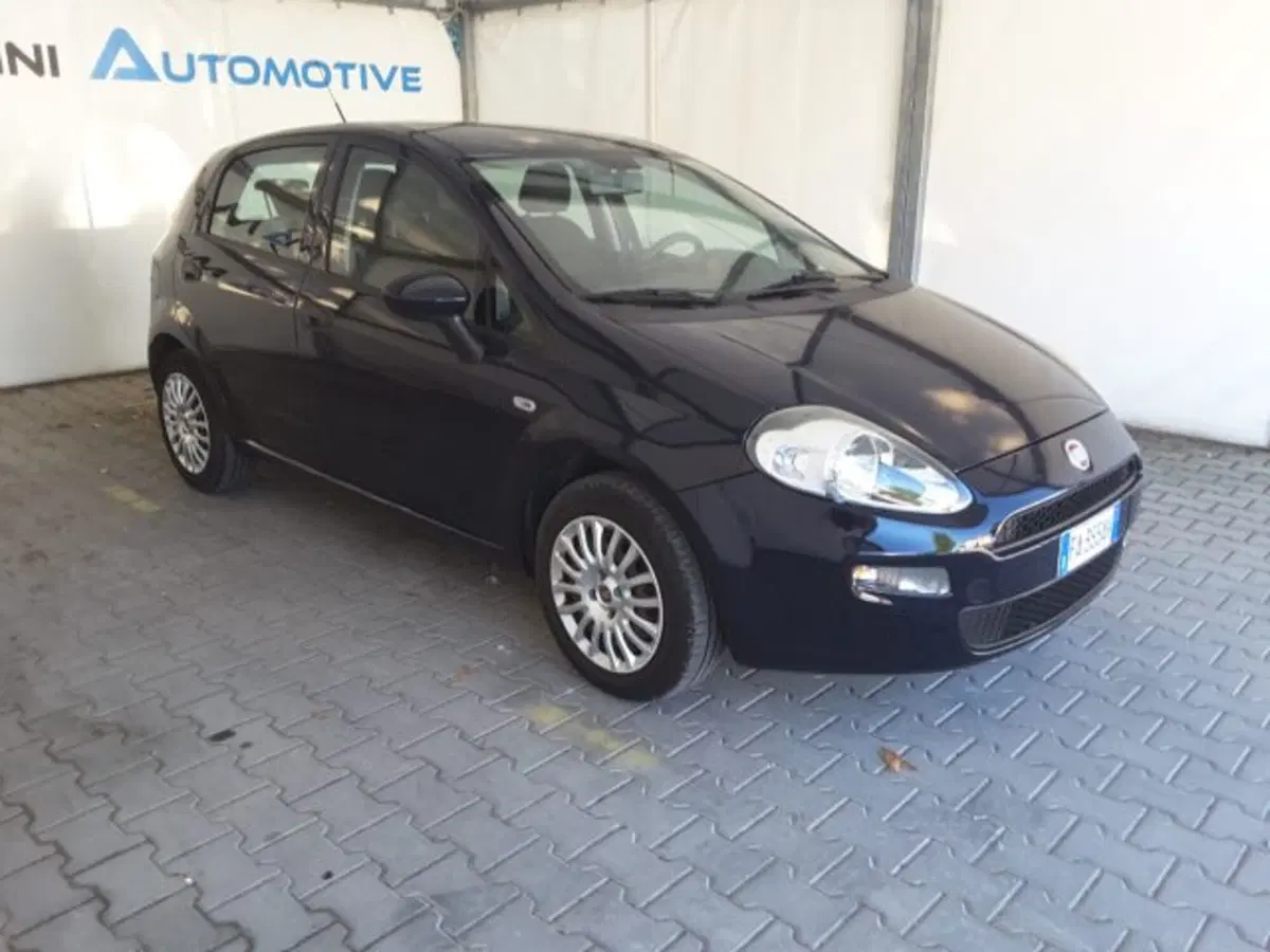 Fiat Punto usata a Firenze (2)