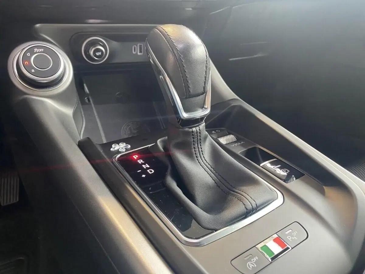 Alfa Romeo Tonale usata a Torino (12)