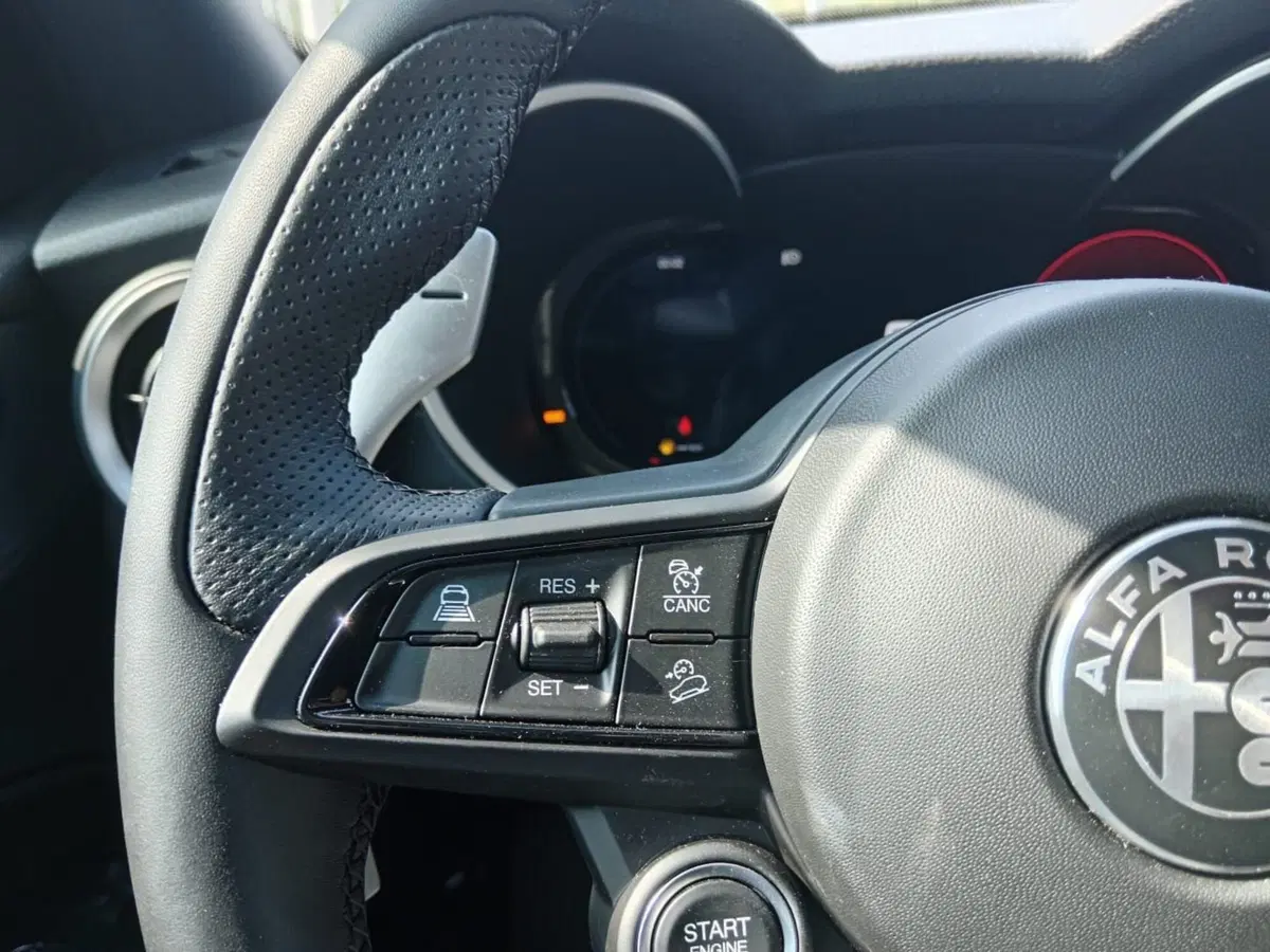 Alfa Romeo Stelvio nuova a Alessandria (11)
