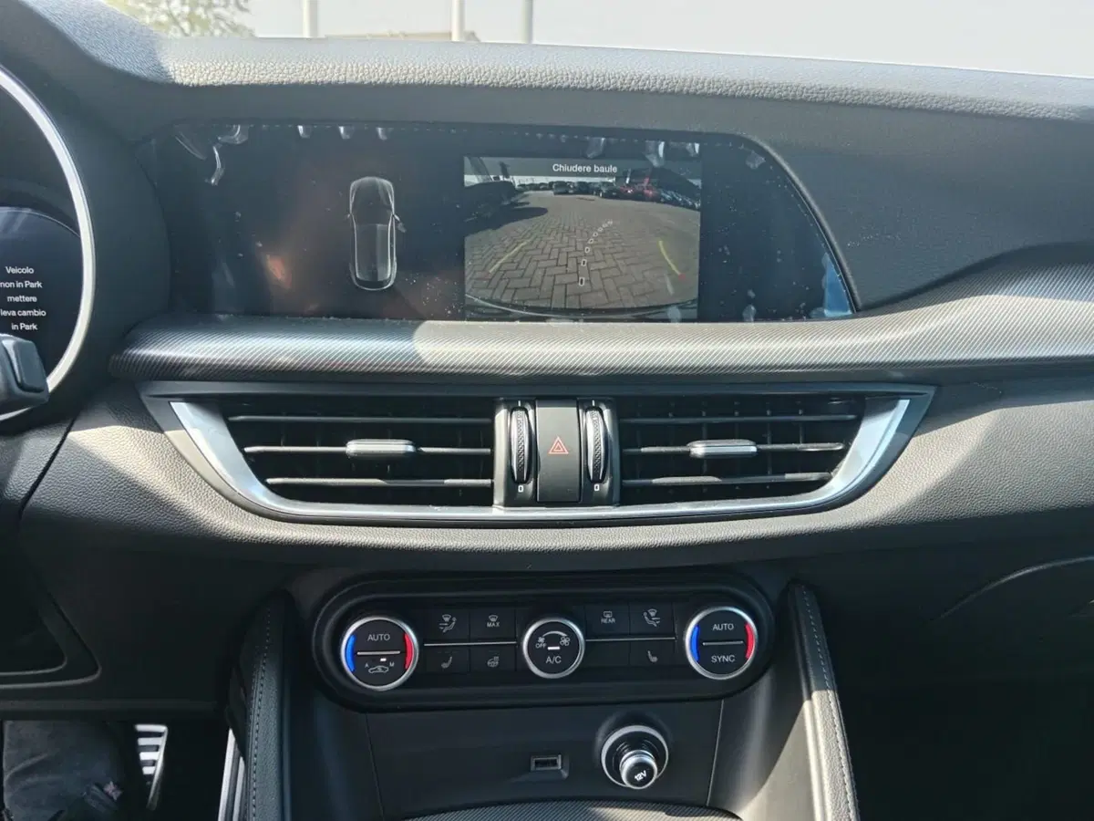 Alfa Romeo Stelvio nuova a Alessandria (12)