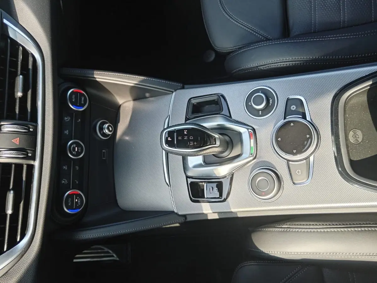 Alfa Romeo Stelvio nuova a Alessandria (14)