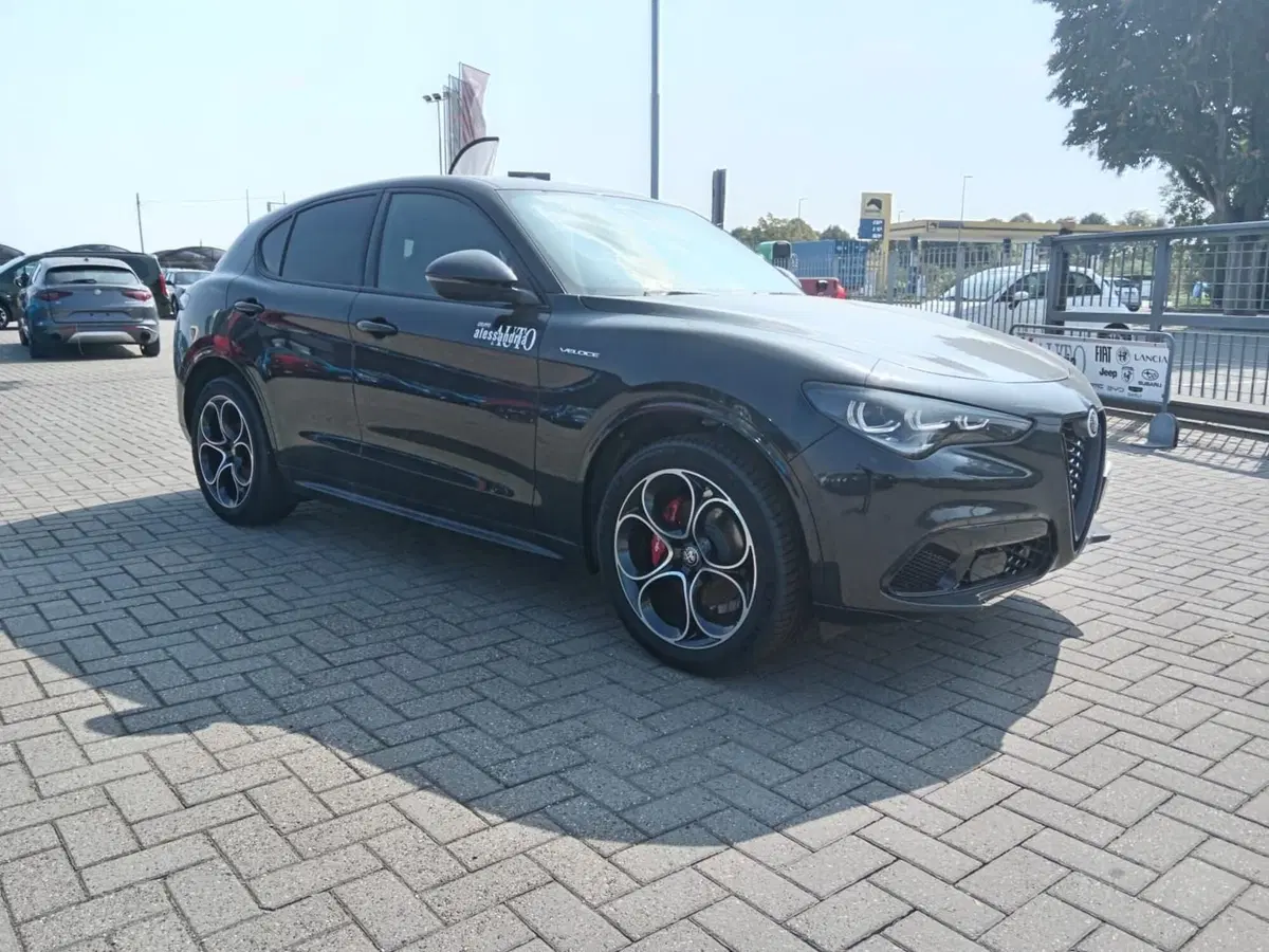 Alfa Romeo Stelvio nuova a Alessandria (3)