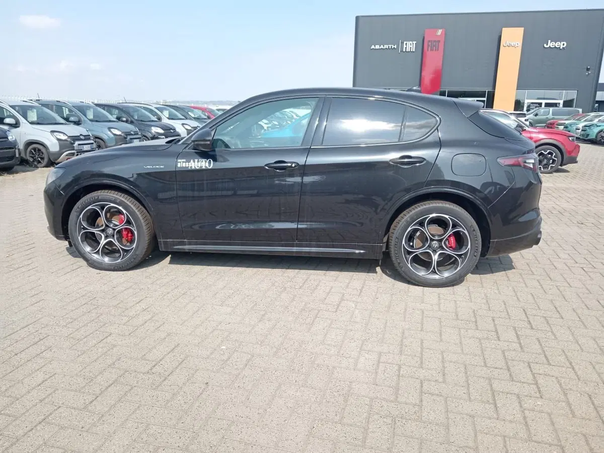 Alfa Romeo Stelvio nuova a Alessandria (8)