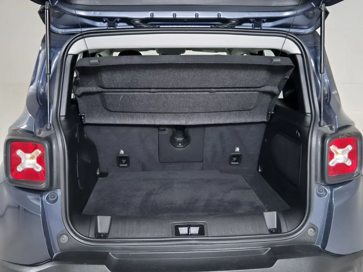 Jeep Renegade usata a Torino (13)