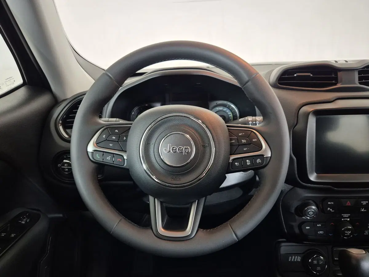 Jeep Renegade usata a Torino (9)