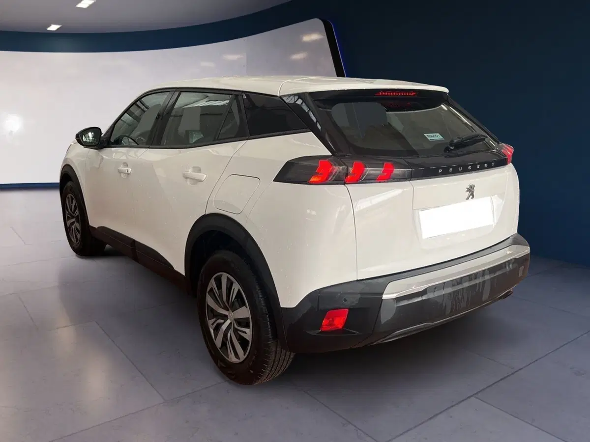 Peugeot 2008 usata a Torino (6)