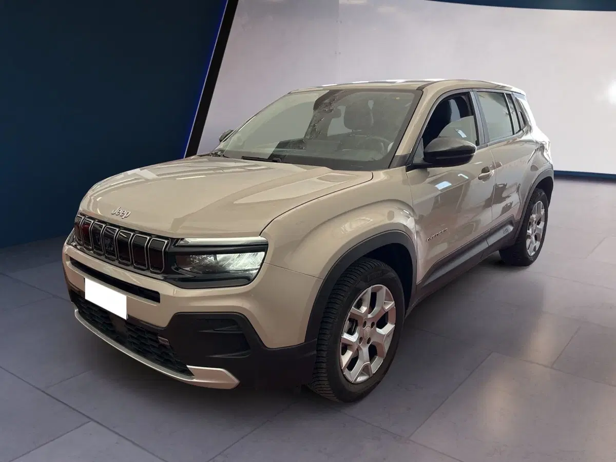 Jeep Avenger usata a Torino (2)