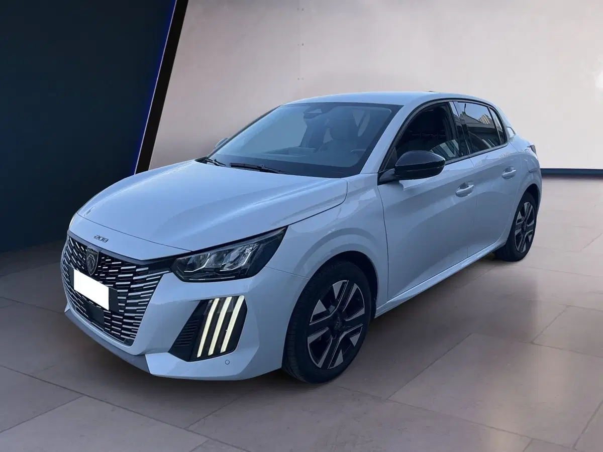 Peugeot 208 usata a Torino (2)