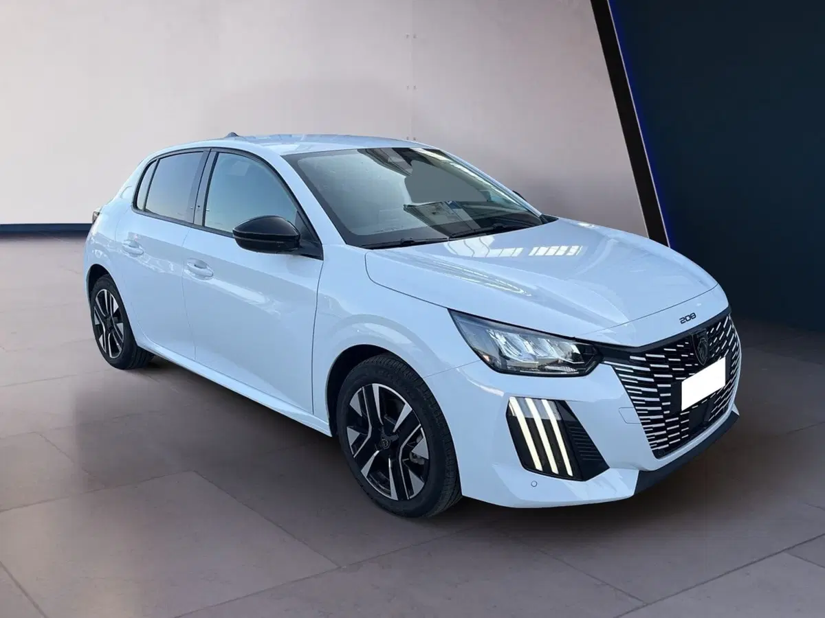 Peugeot 208 usata a Torino (3)