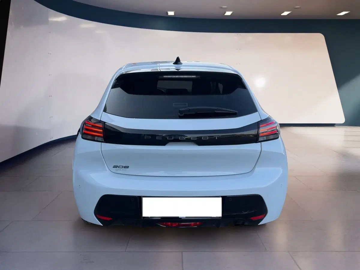 Peugeot 208 usata a Torino (5)