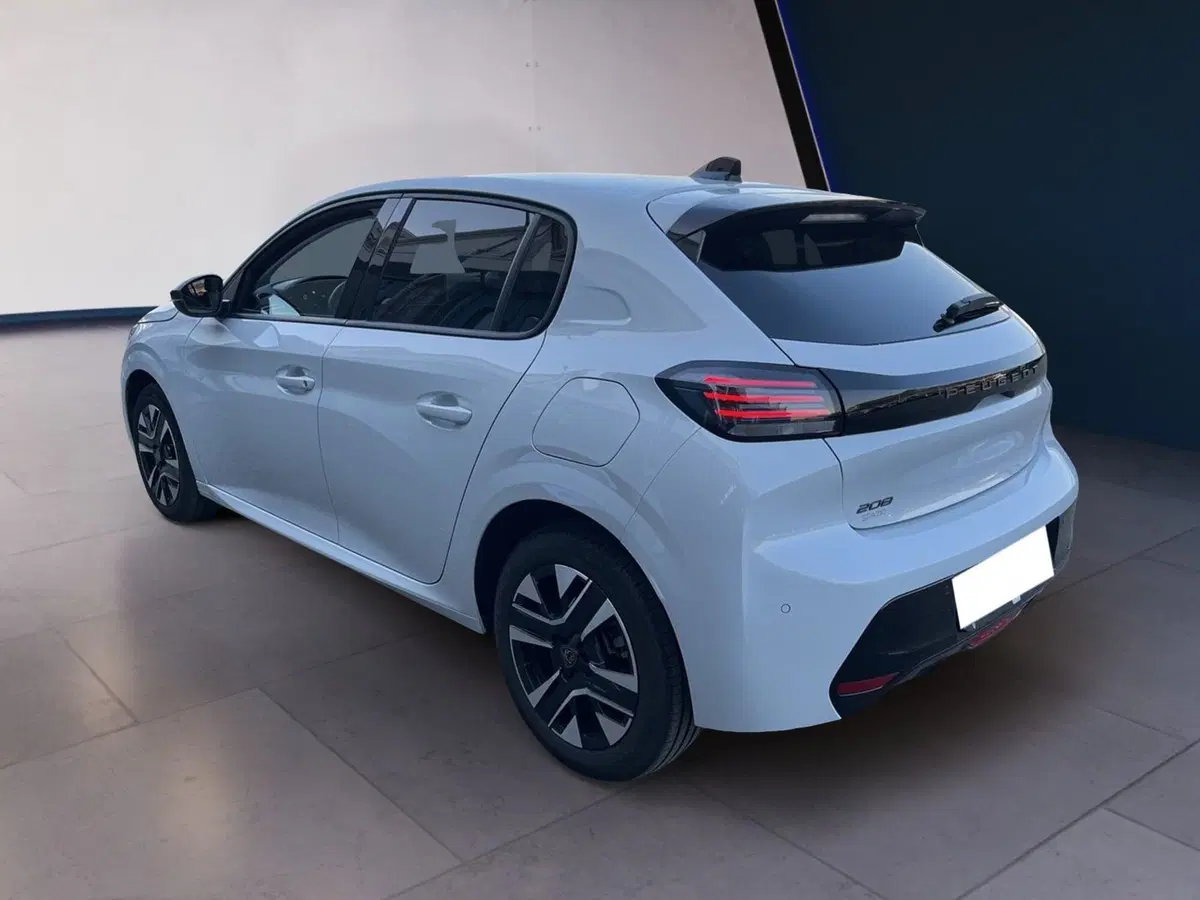 Peugeot 208 usata a Torino (6)