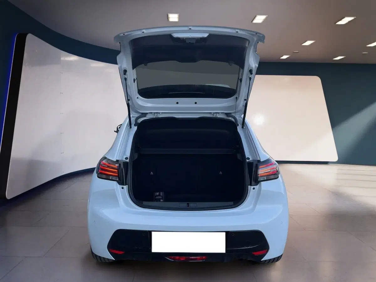 Peugeot 208 usata a Torino (8)