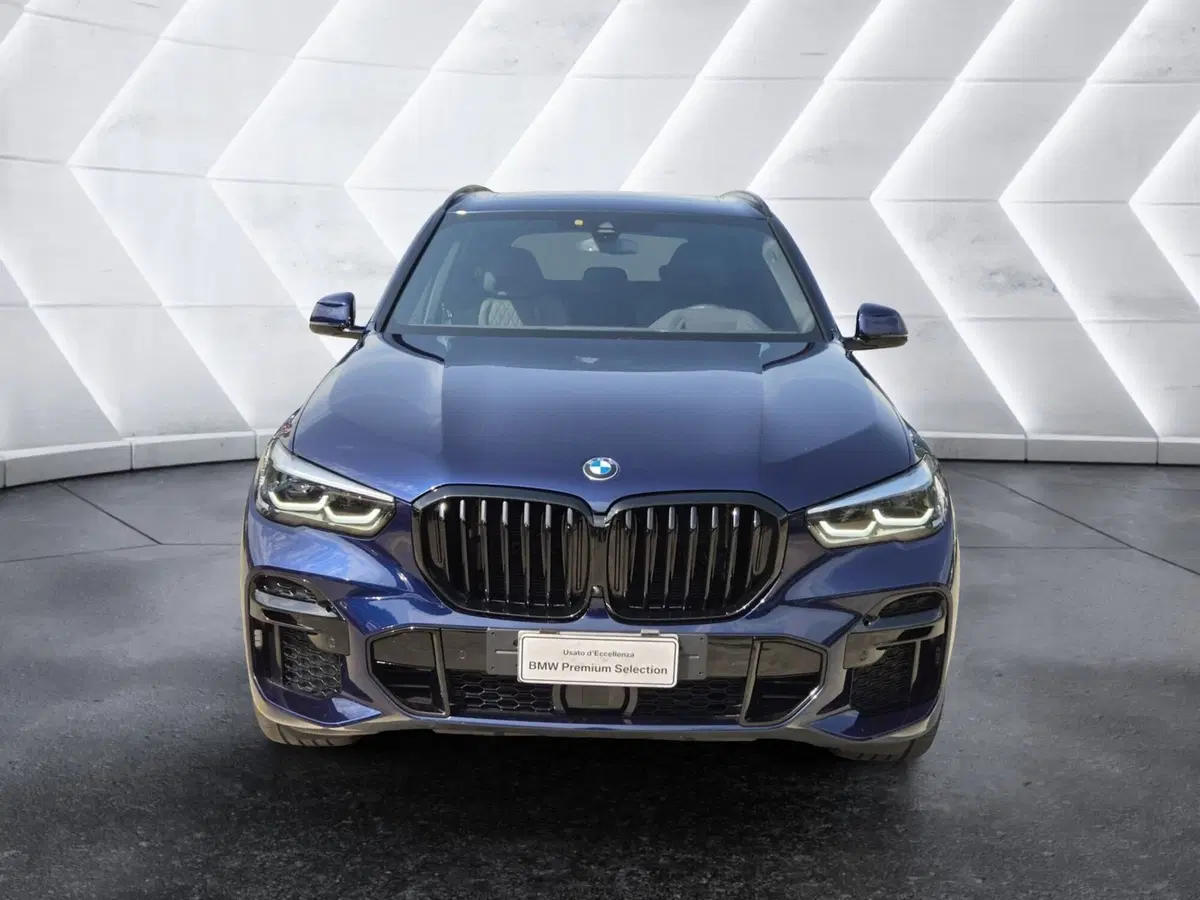 BMW X5 usata  (2)