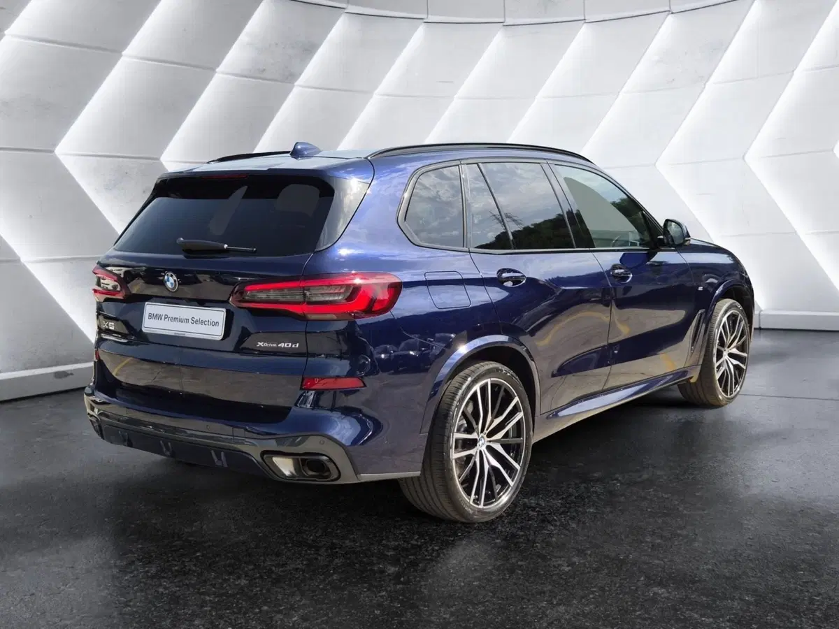 BMW X5 usata  (4)