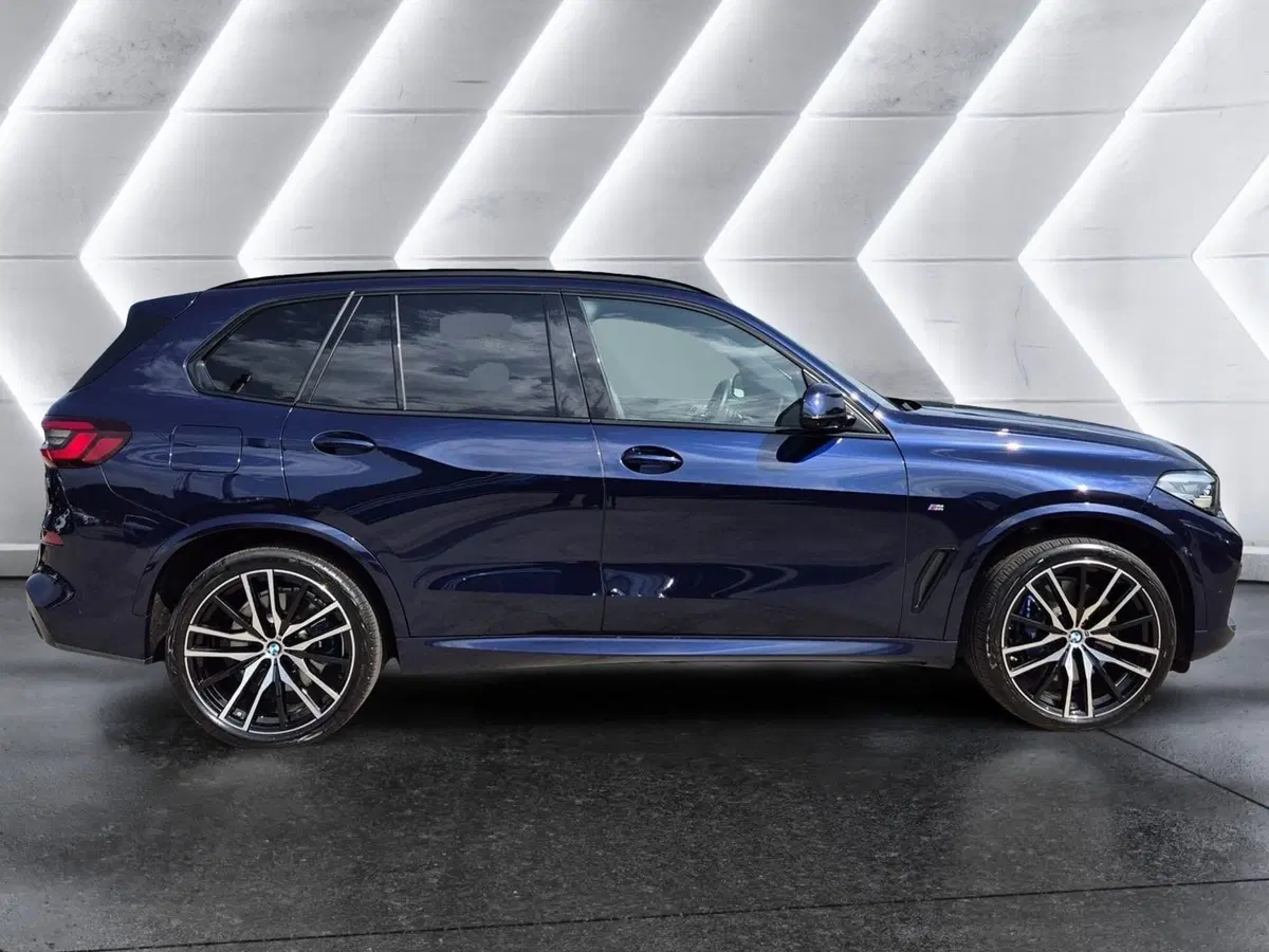 BMW X5 usata  (5)