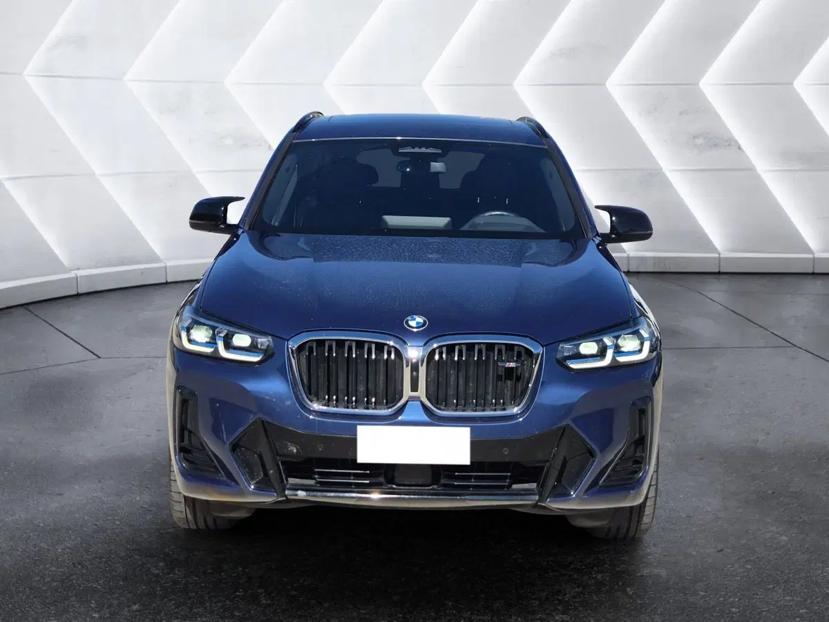 BMW X3 usata  (2)