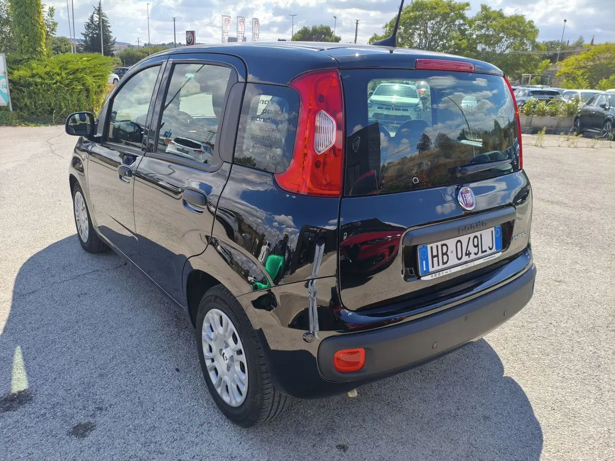 Fiat Pandina usata a Matera (3)