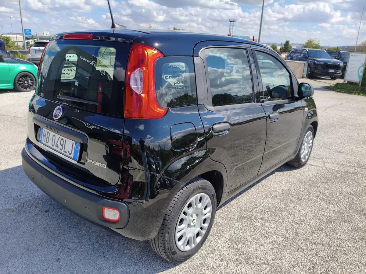 Fiat Pandina usata a Matera (6)