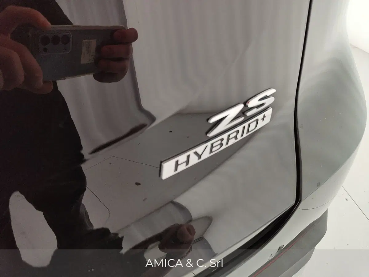 Mg ZS EV usata a Caserta (12)