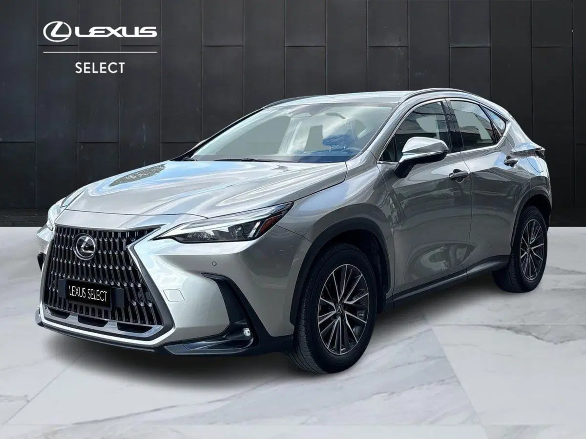 Lexus NX usata a Padova