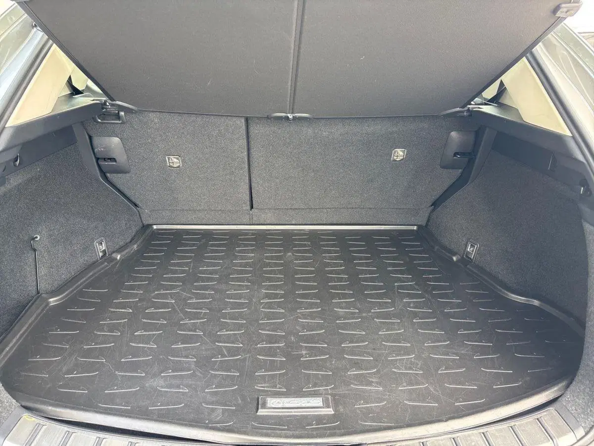 Lexus NX usata a Padova (16)