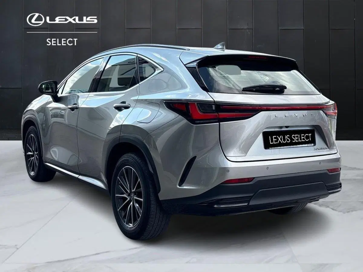 Lexus NX usata a Padova (3)