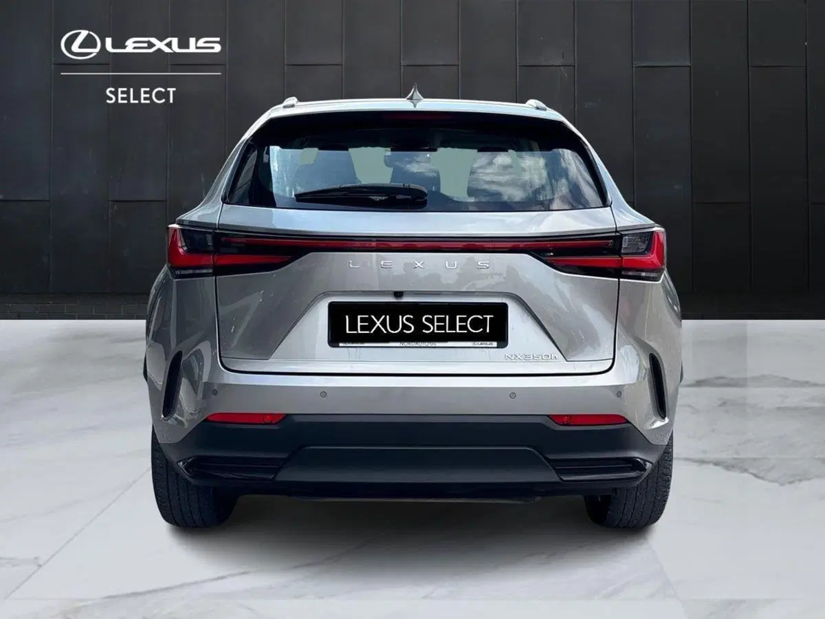 Lexus NX usata a Padova (4)