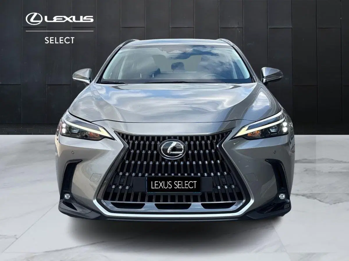 Lexus NX usata a Padova (5)