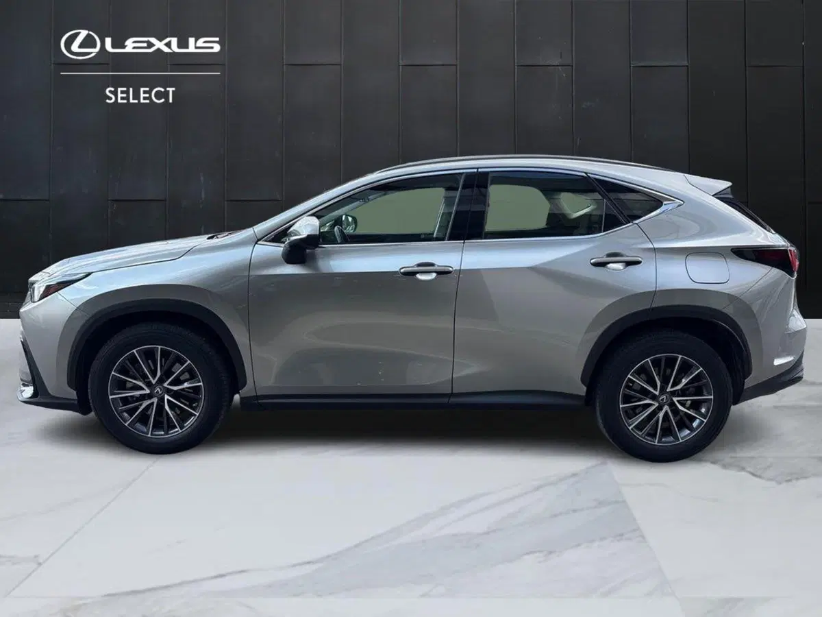 Lexus NX usata a Padova (6)