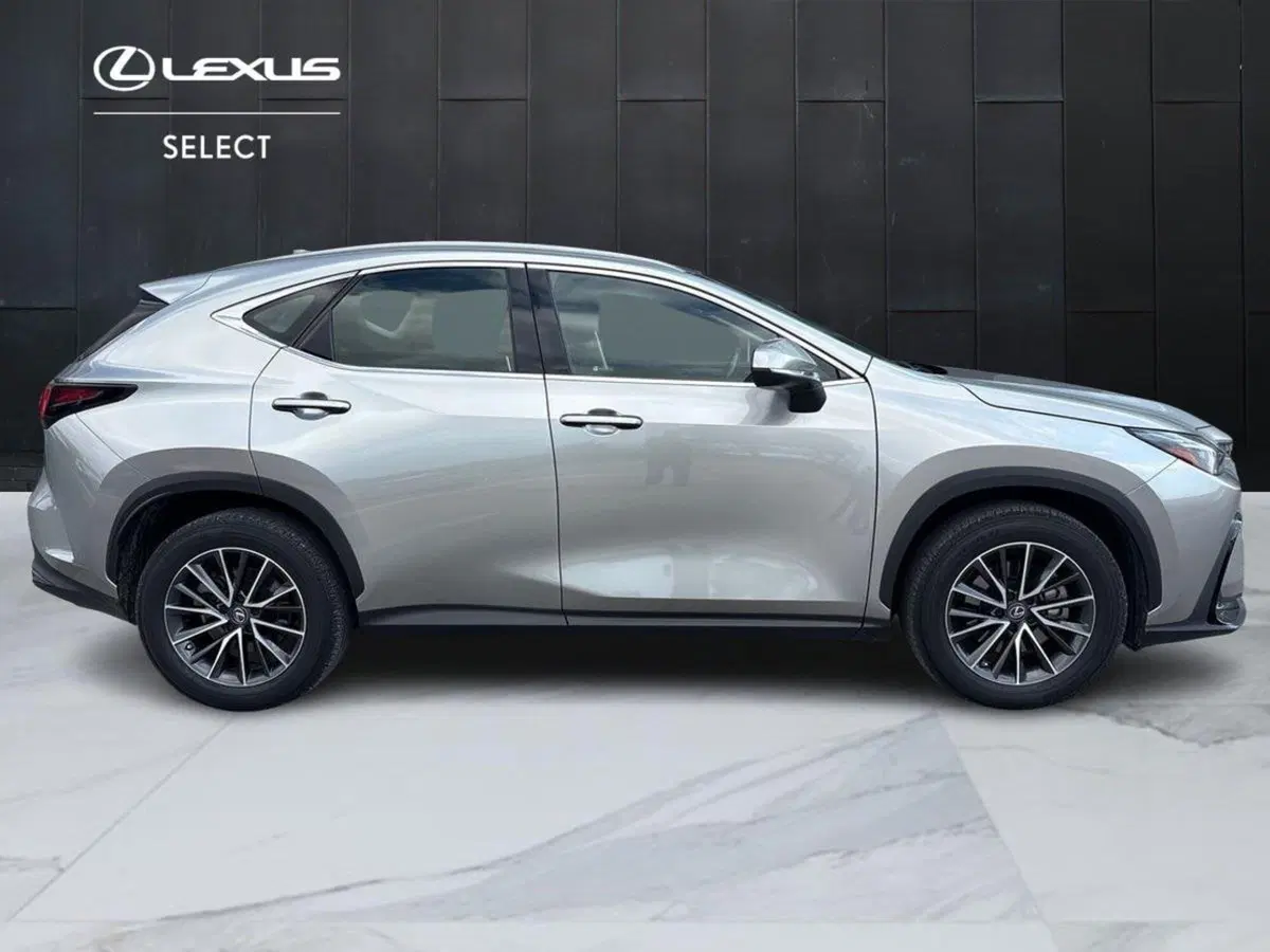 Lexus NX usata a Padova (7)