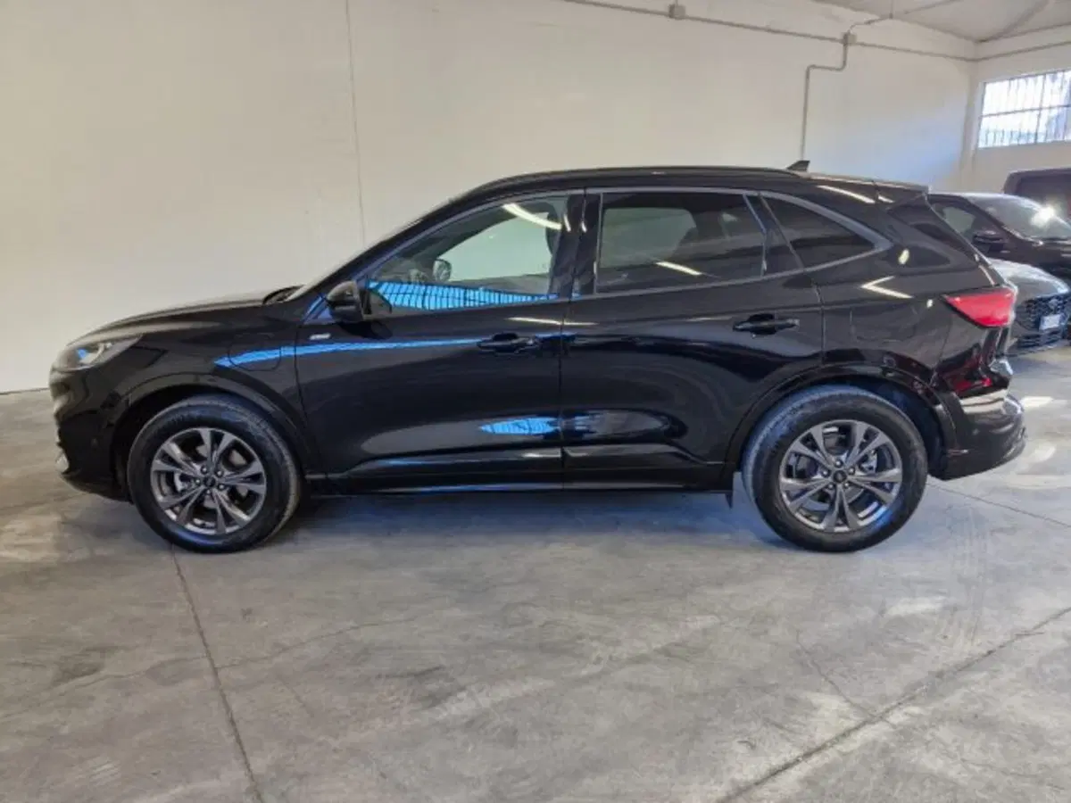 Ford Kuga usata a Bologna (2)