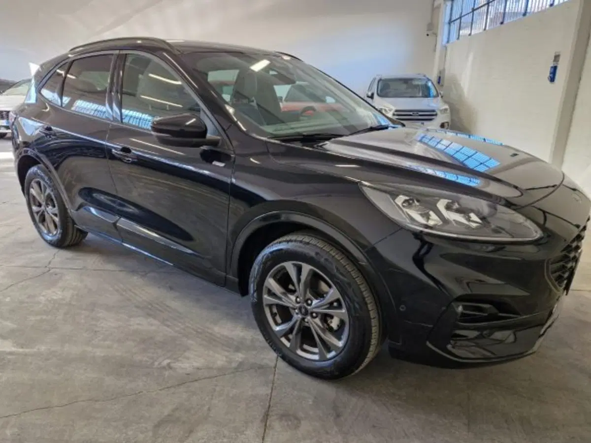 Ford Kuga usata a Bologna (7)