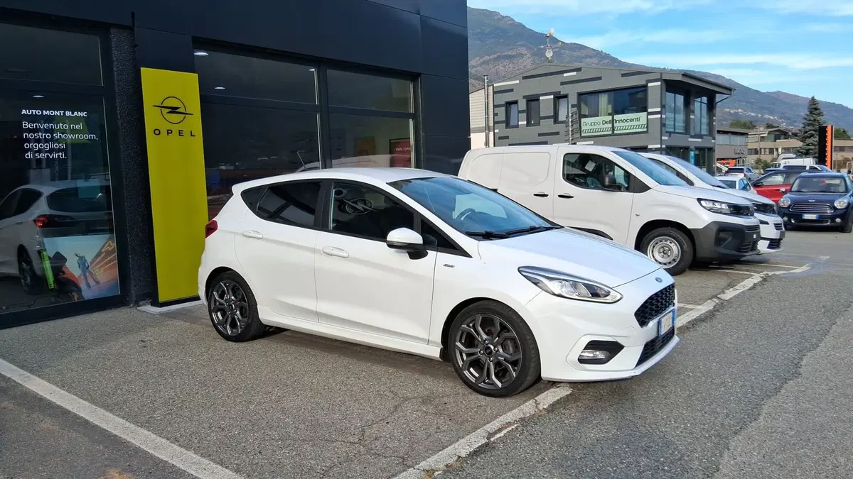 Ford Fiesta usata a Aosta