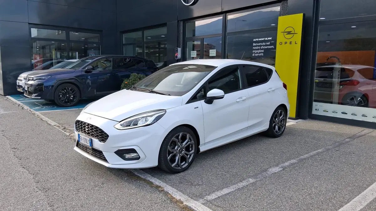 Ford Fiesta usata a Aosta (2)
