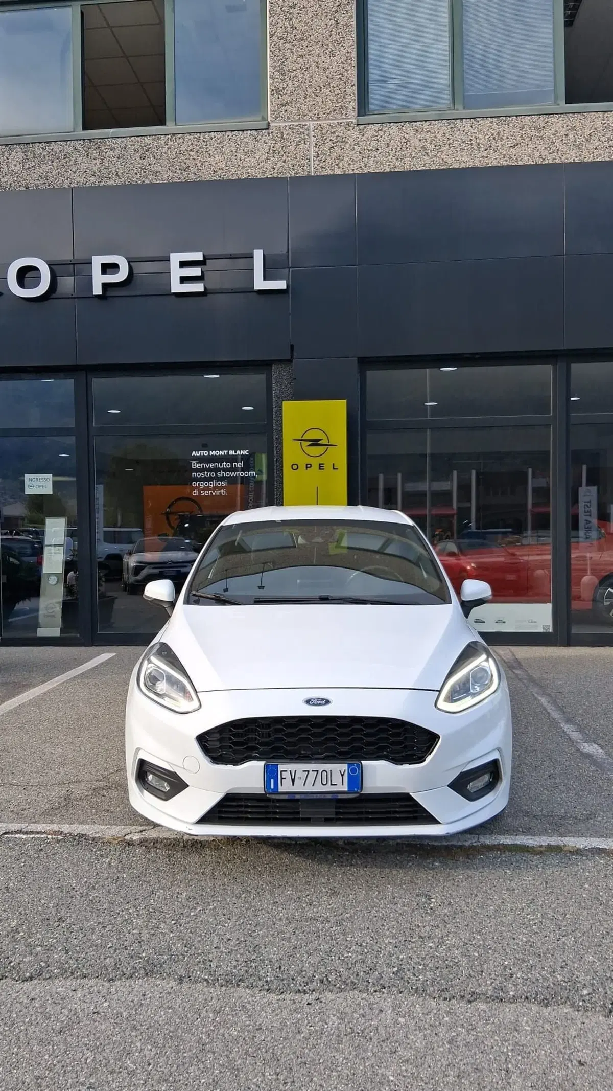 Ford Fiesta usata a Aosta (4)