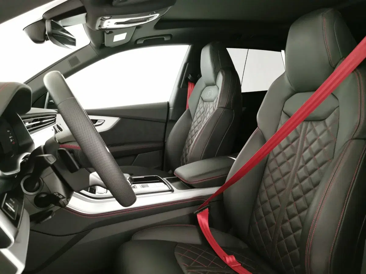 Audi Q8 usata a Chieti (13)