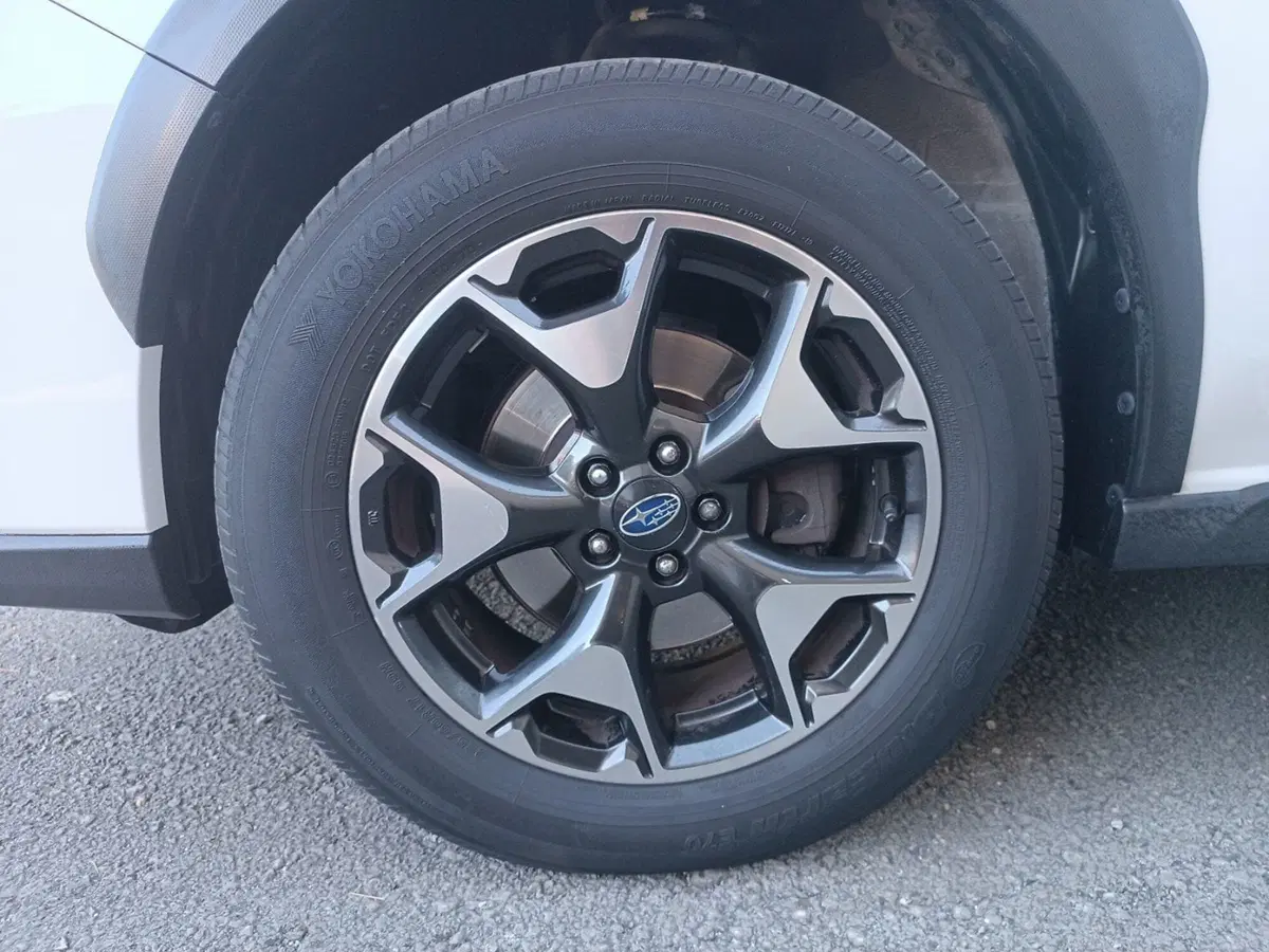 Subaru XV usata a Forlì-Cesena (4)