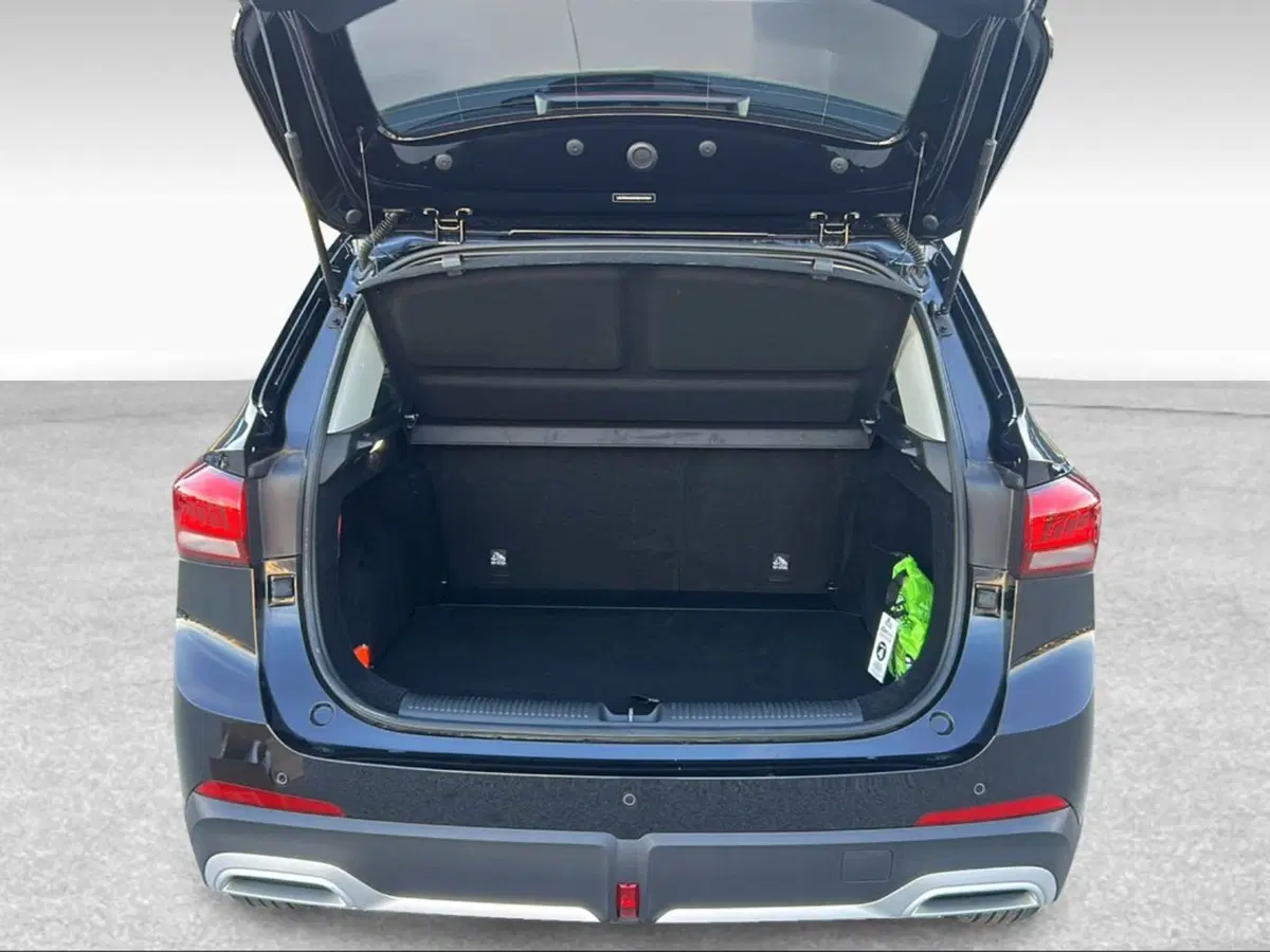 Mg ZS usata a Siena (6)