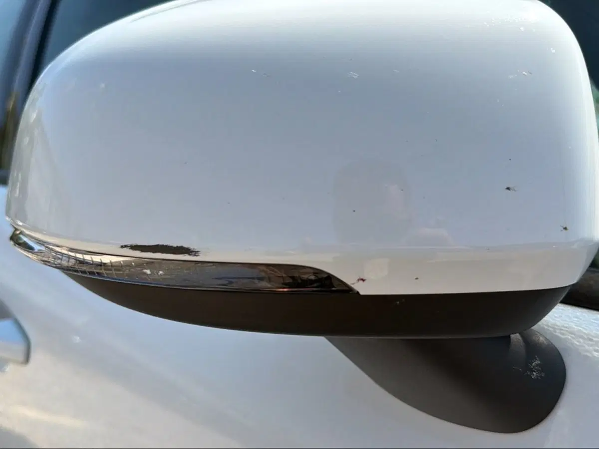 Volvo XC40 usata a Livorno (20)