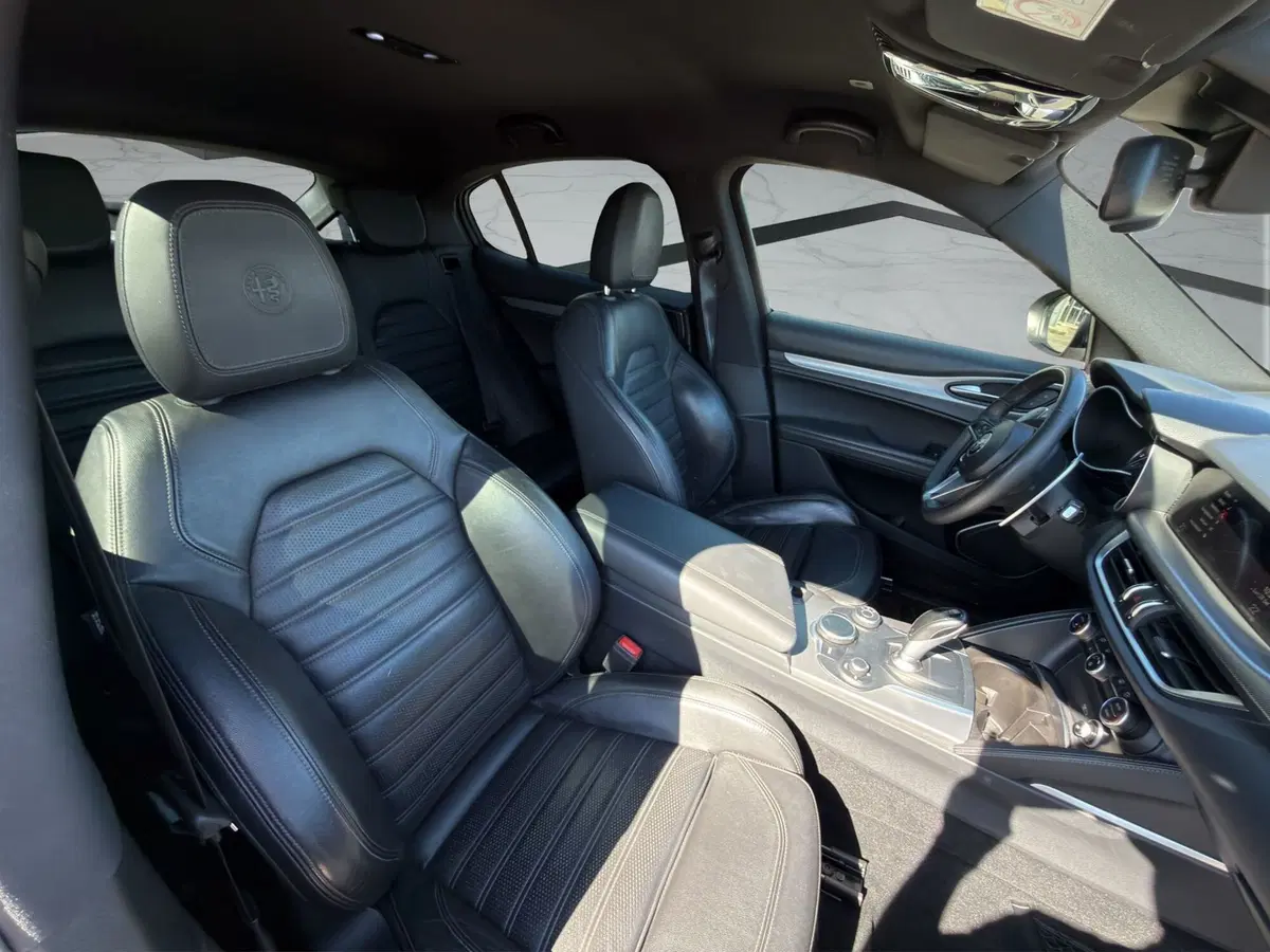 Alfa Romeo Stelvio usata a Cosenza (18)