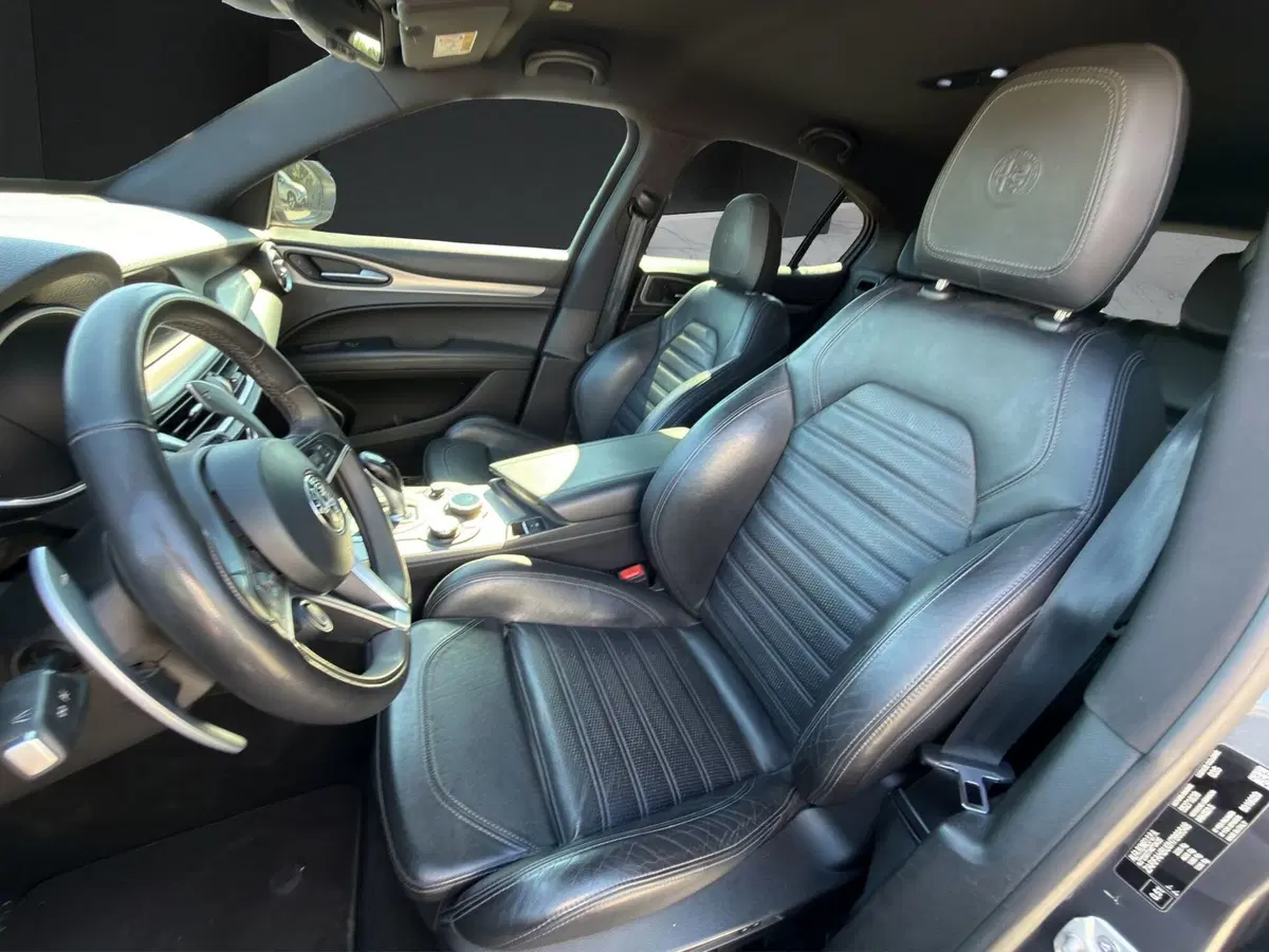 Alfa Romeo Stelvio usata a Cosenza (9)